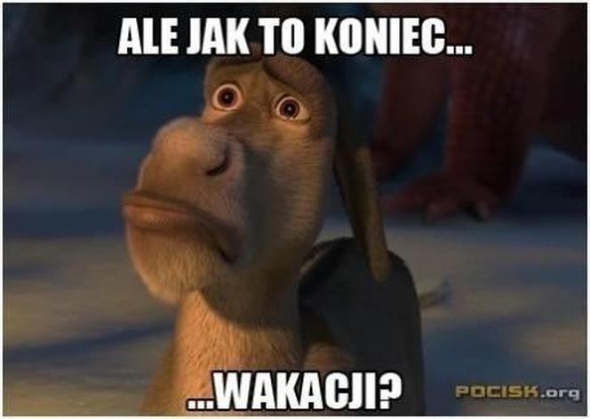 Memy na koniec wakacji