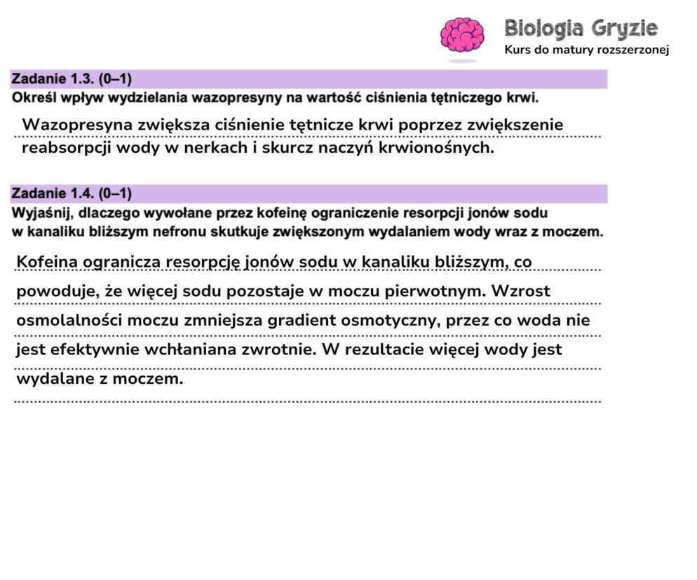 Mamy ODPOWIEDZI matury próbnej z biologii rozszerzonej! Gotowe rozwiązania i klucz	