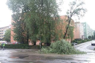 Burza nad Śląskiem zbiera żniwo. Połamane drzewa i braki w dostawie prądu [ZDJĘCIA, WIDEO]