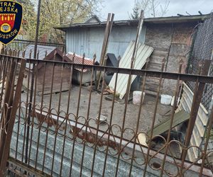Dramat w Pruszkowie. Przetrzymywał zwierzęta w skandalicznych warunkach. Właściciel próbował się ich pozbyć