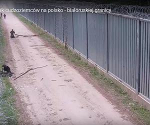 Polski żołnierzy ugodzony nożem. Brutalne starcia z migrantami na granicy polsko-białoruskiej [ZDJĘCIA].