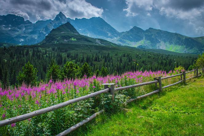 Tego widoku zazdrości nam cały świat. Tatry skąpane w fioletowej barwie zapierają dech