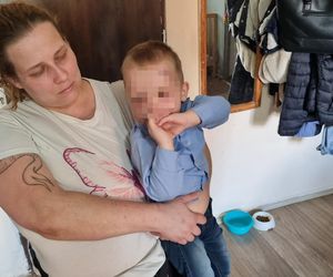 Pies pogryzł 3-latka na przystanku