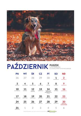 Październik - kalendarz ze zwierzętami