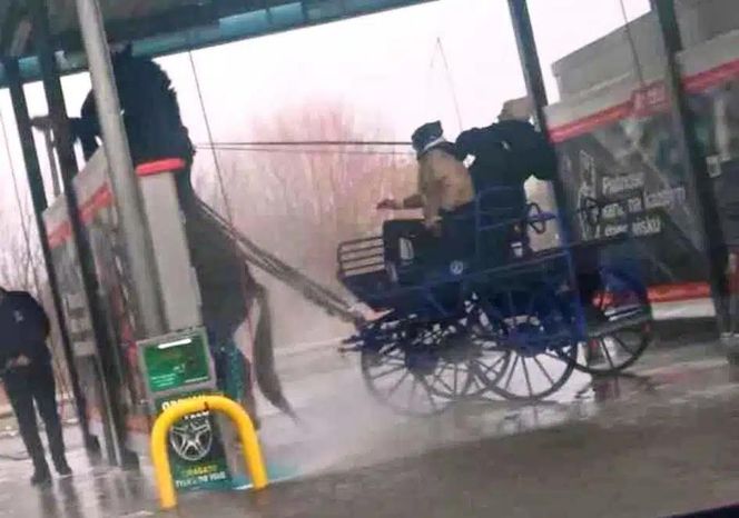 Szok w Makowie Mazowieckim! Umyli konia myjką ciśnieniową