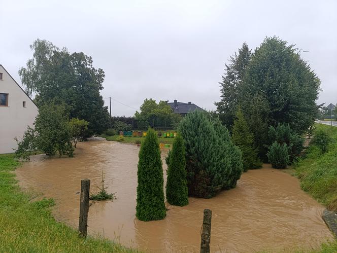 Zagrożenie powodziowe. Głuchołazy. Woda przelała się przez wały. Zalewa miasto