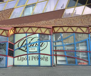 Lehel Market w Budapeszcie