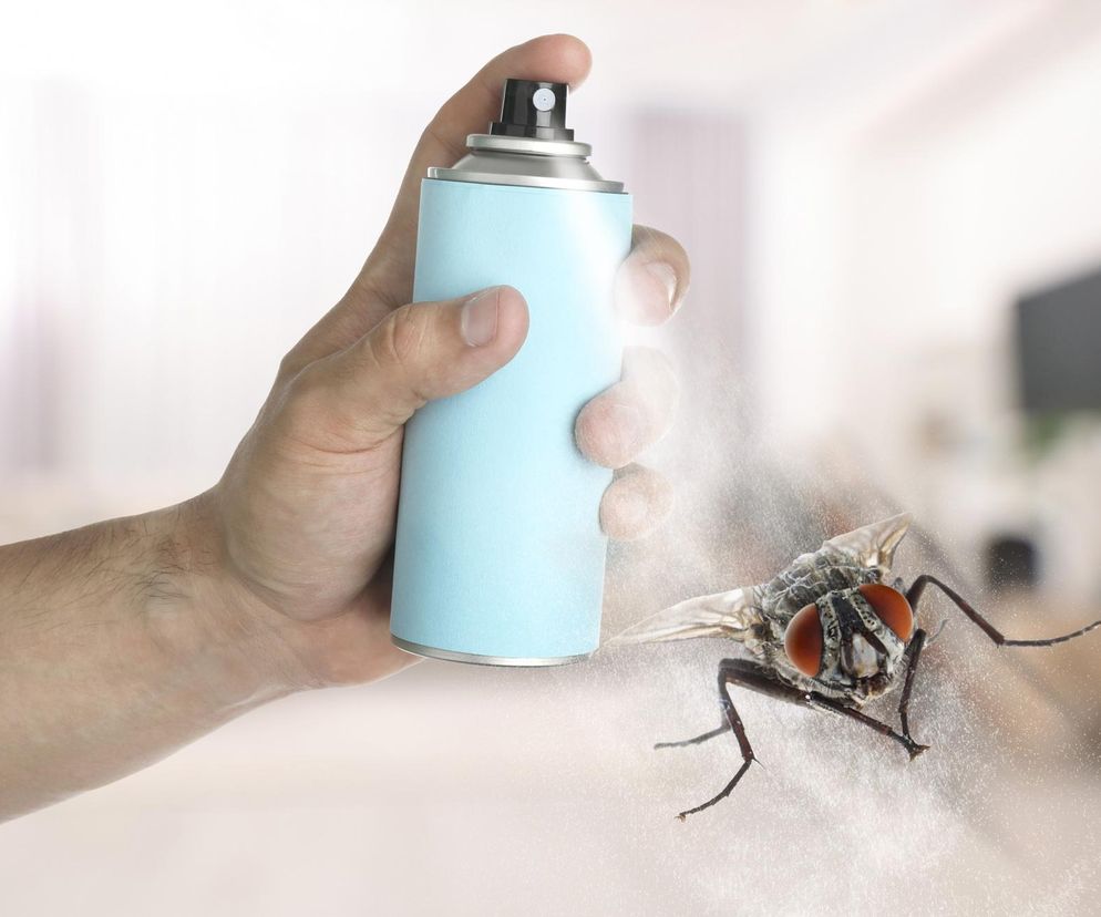domowy spray na muchy 