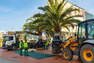 Katowicki rynek stracił palmy. Wszystko przez zimę