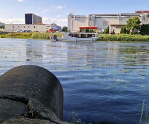 Park Centralny przed wielką zmianą! Zobacz, gdzie powstanie kąpielisko