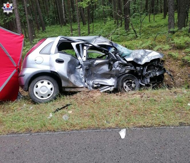 Tragiczny wypadek w pow. biłgorajskim. Starsza kobieta zginęła na miejscu 