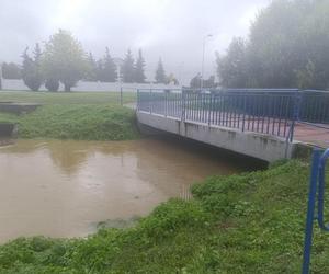 W województwie opolskim ogłoszono stan klęski żywiołowej