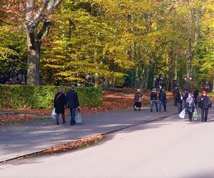 1 listopada na Cmentarzu Centralnym w Szczecinie