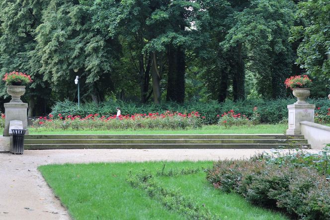 Ogród Saski w Lublinie w wakacyjny poranek 2025
