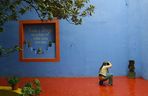 La Casa Azul - dom Fridy Kahlo 