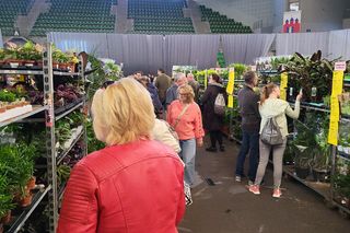 Bydgoszcz rozkwitła zielenią w Łuczniczce. Tak było na Festiwalu Roślin