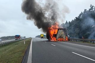 Pożar na S5 koło Leszna. Zapaliła się naczepa z artykułami papierowymi [ZDJECIA/FILM]