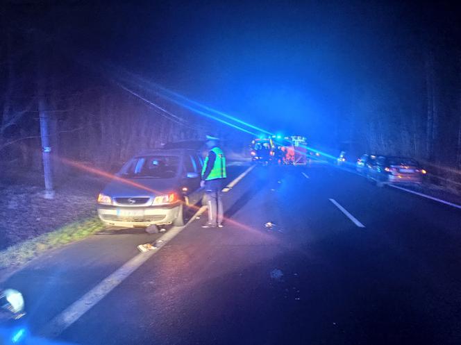 Koszmar na drodze niedaleko Torunia. 38-latek ZABIŁ pieszego!