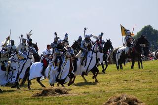 Bitwa pod Grunwaldem. Mity i propaganda