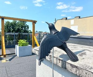 Ale miejsce! Letnia czytelnia na dachu biblioteki w Lesznie prawie gotowa