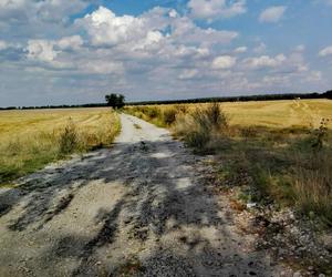 Zdjęcia Poznania od naszych Czytelników. Sprawdź te niesamowite ujęcia!