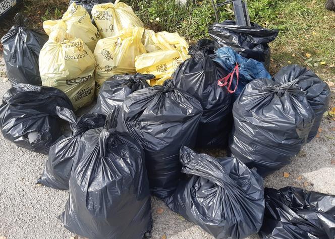 Grupa "Posprzątajmy Lublin" zbierała śmieci z Bystrzycy