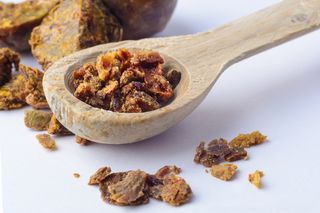 Propolis (kit pszczeli) - właściwości, zastosowanie, cena. Przepis na nalewkę 