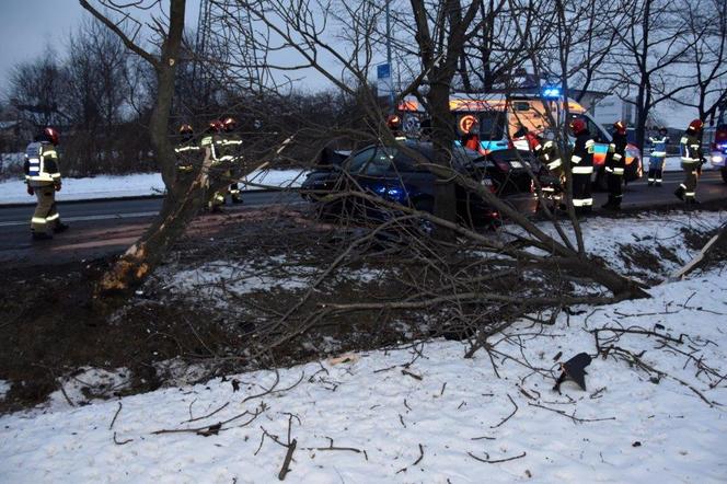 Tarnów. Młody kierowca ROZBIŁ bmw na przydrożnym drzewie. Z wypadku wyszedł niemal bez szwanku