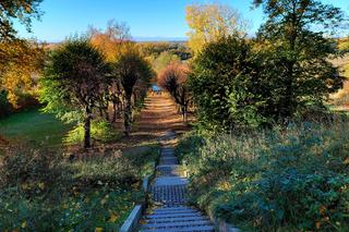 Złota polska jesień pod Bydgoszczą. Tak pięknie w ostromeckim parku chyba jeszcze nie było! [DUŻO ZDJĘĆ] 