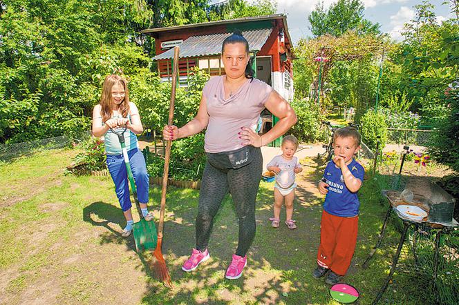 Alarm dla działkowców Zburzą wasze altanki!