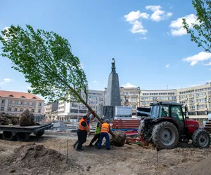 Plac Wolności w Łodzi się zazielenia