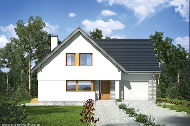 Projekt domu M221 Na miarę czasów