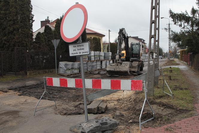  W Wołominie wycinają drzewa na potęgę! Mieszkańcy są wściekli