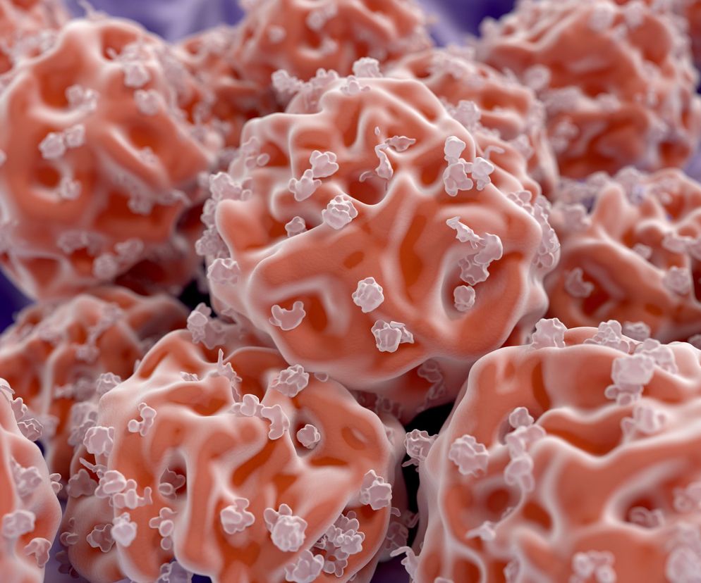 KOMÓRKI MACIERZYSTE leczą zwyrodnienie stawów