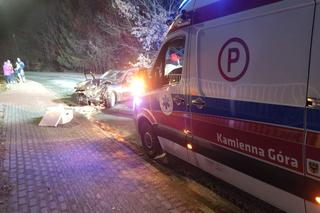 Fatalny wypadek koło Kamiennej Góry. Kierowca osobówki uderzył w trzy drzewa, oszukał przeznaczenie