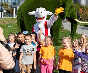 Centrum Bajki Koziołka Matołka w Pacanowie