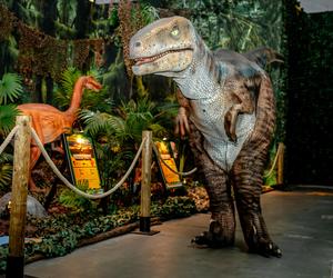 Wystawa Jurassic Adventure w Warszawie