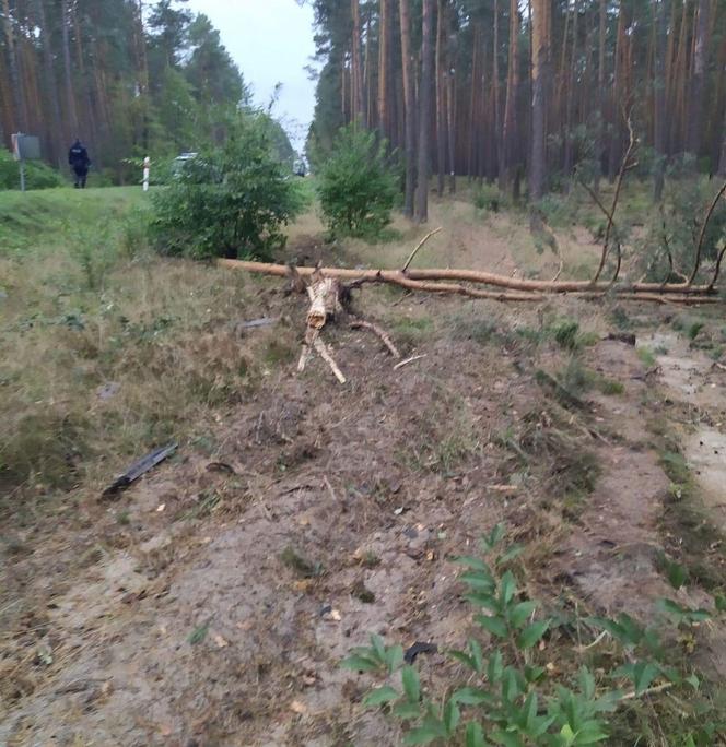 BMW rozpadło się kawałki. 28-letni kierowca w ciężkim stanie trafił do szpitala