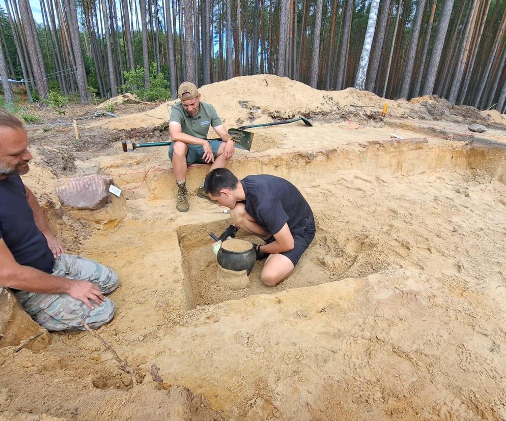 Szokujące odkrycie archeologów. W miejscowości koło Świecia znaleziono 50 ciał sprzed lat [GALERIA]
