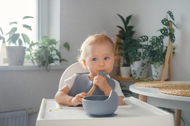 dziecko jedzące z miseczki, w wysokim krzesełku