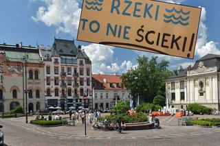 Strajk w Krakowie i protesty w całej Polsce. Nie dla wycinki drzew, zanieczyszczonych rzek i nielegalnych składowisk
