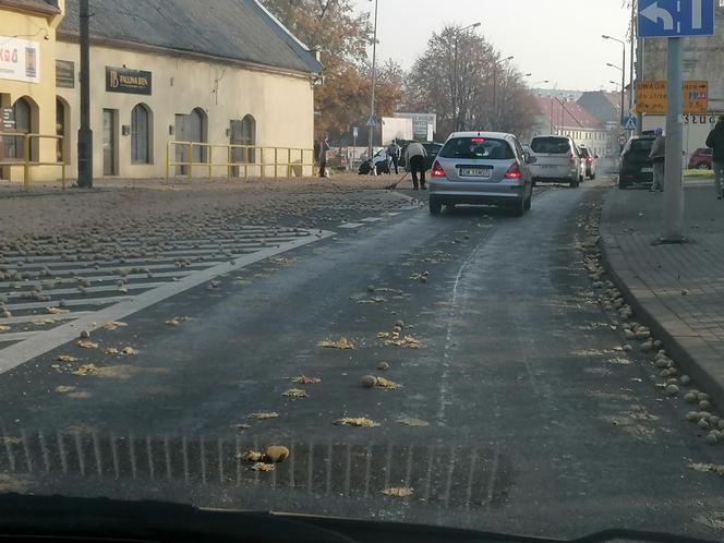 Ziemniakowy wypadek na trasie Wrocław-Opole. "Ludzie zabierają, bierzemy?" [NAGRANIE, ZDJĘCIA]