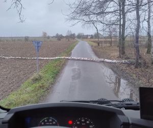 Niebezpieczne podmuchy wiatru w Łódzkiem. Strażacy interweniowali 140 razy