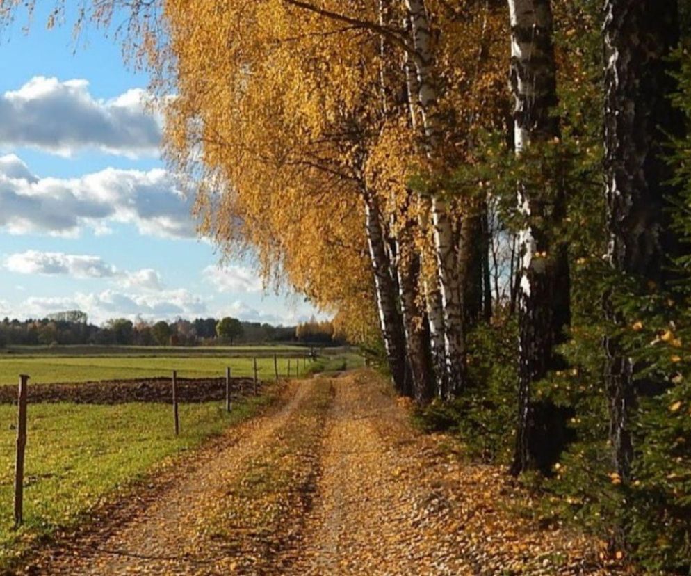 Ta miejscowość istnieje od XVIII wieku! Dziś uwielbiają ją tylko gracze 