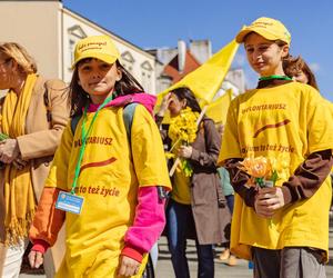 Za nami barwna Żonkilowa Parada. Tak wyglądał Finał Pól Nadziei na Pomorzu 2024