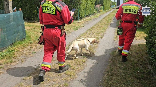 Tak wyglądały poszukiwania 11-letniej Patrycji