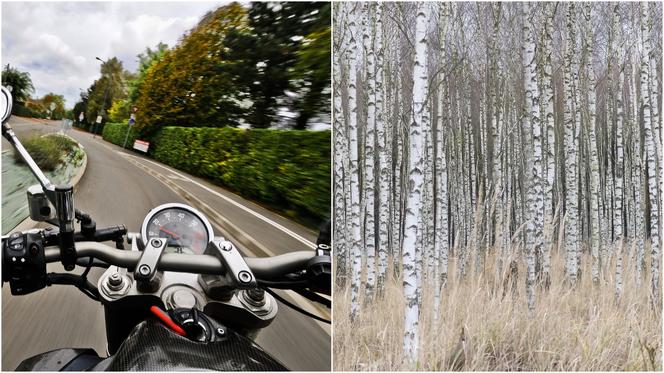 Motocykl rozbił się o znak, on poleciał dalej i uderzył w drzewa! 42-latek zginął pod Ostrołęką