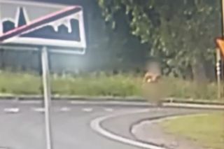 Lubin. Etiopczycy bez ubrań biegali po ulicach miasta