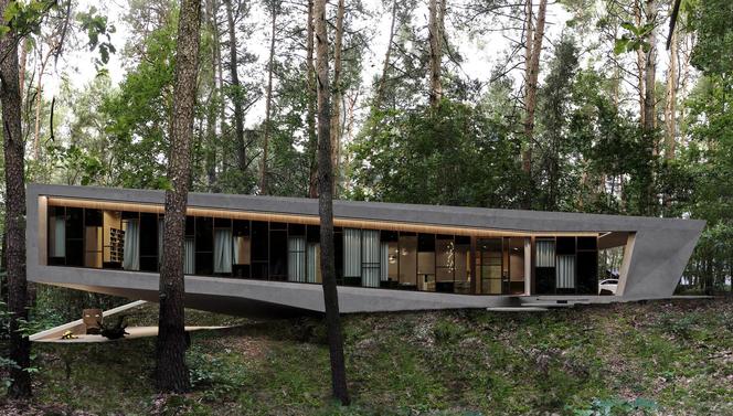 RE: JOSHUA TREE HOUSE,, projektu architekta Marcina Tomaszewskiego, REFORM Architekt