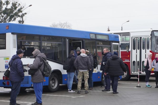 Katarzynki 2024 - wystawa autobusów przy Galerii Panorama